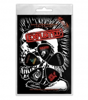 Подарунковий набір медіаторів THE EXPLOITED - SKULL (mol-039)
