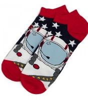 Носки Астронафт (короткие) (р.40-46)