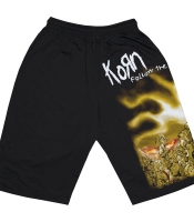 Шорти Korn "Follow the Leader"