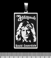 Кулон Whitesnake (David Coverdale) (ptsb-134) прямоугольный