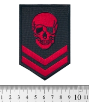 Нашивка Череп (шеврон) (pt-020)