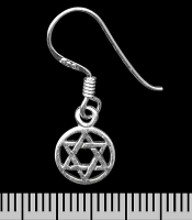 Сережка-гачок Зірка Давида (срібло, 925 проба) (ehs-050)