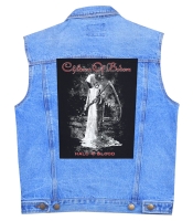 Нашивка наспинна катана CHILDREN OF BODOM - HALO OF BLOOD (olbp-034)