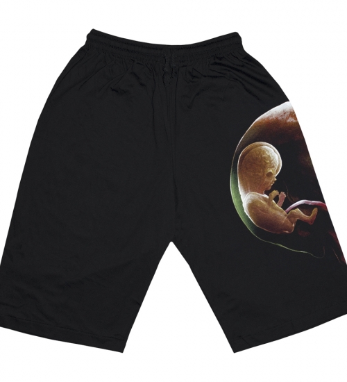 Шорти Tool "Fetus in Skull" Шорти Tool "Fetus in Skull"