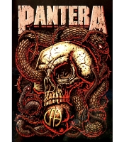 Плакат Pantera (Skull CFH)