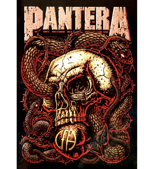 Плакат Pantera (Skull CFH) Плакат Pantera (Skull CFH)