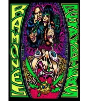 Плакат Ramones (Acid Eaters)