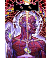 Плакат Tool (Lateralus)