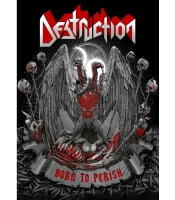 Плакат Destruction (Born To Perish)