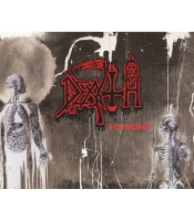Плакат Death "Human"