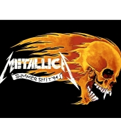 Плакат Metallica (Summer Shit)