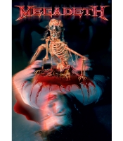 Плакат Megadeth (The World Needs a Hero)