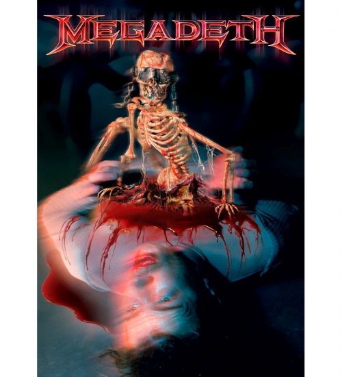 Плакат Megadeth (The World Needs a Hero) Плакат Megadeth (The World Needs a Hero)