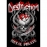 Плакат Destruction (Metal Pirate)