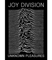 Плакат Joy Division "Unknown Pleasures"