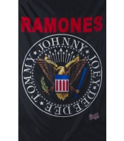 Флаг Ramones (logo) (FR-18)