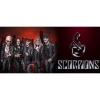 Чашка Scorpions