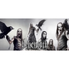 Чашка Behemoth (crow)
