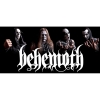 Чашка Behemoth 3
