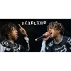 Чашка Scarlxrd