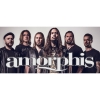 Чашка Amorphis
