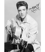 Плакат Elvis Presley