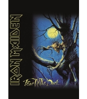 Постер Iron Maiden Fear of the Dark
