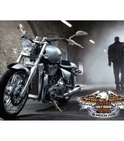 Плакат Harley-Davidson