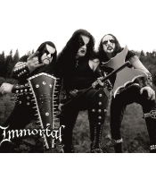 Постер Immortal