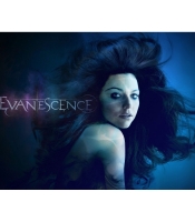 Плакат Evanescence