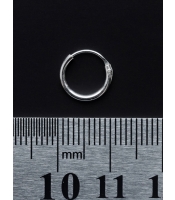Серьга, кольцо (eas-001)