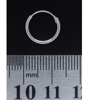 Серьга, кольцо (eas-002)