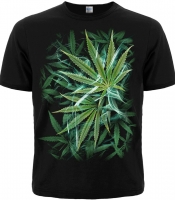Футболка Smoky Cannabis