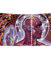 Прапор Tool "Lateralus" sfc-085