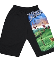 Шорти Megadeth "Youthanasia"