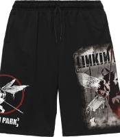 Шорти Linkin Park "Hybrid Theory" (rw)