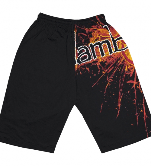 Шорти All print - Lamb Of God (explosive logo)