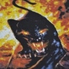 Нашивка катаная Hell Panther