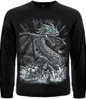 Футболка с длинным рукавом Dragon In Chains