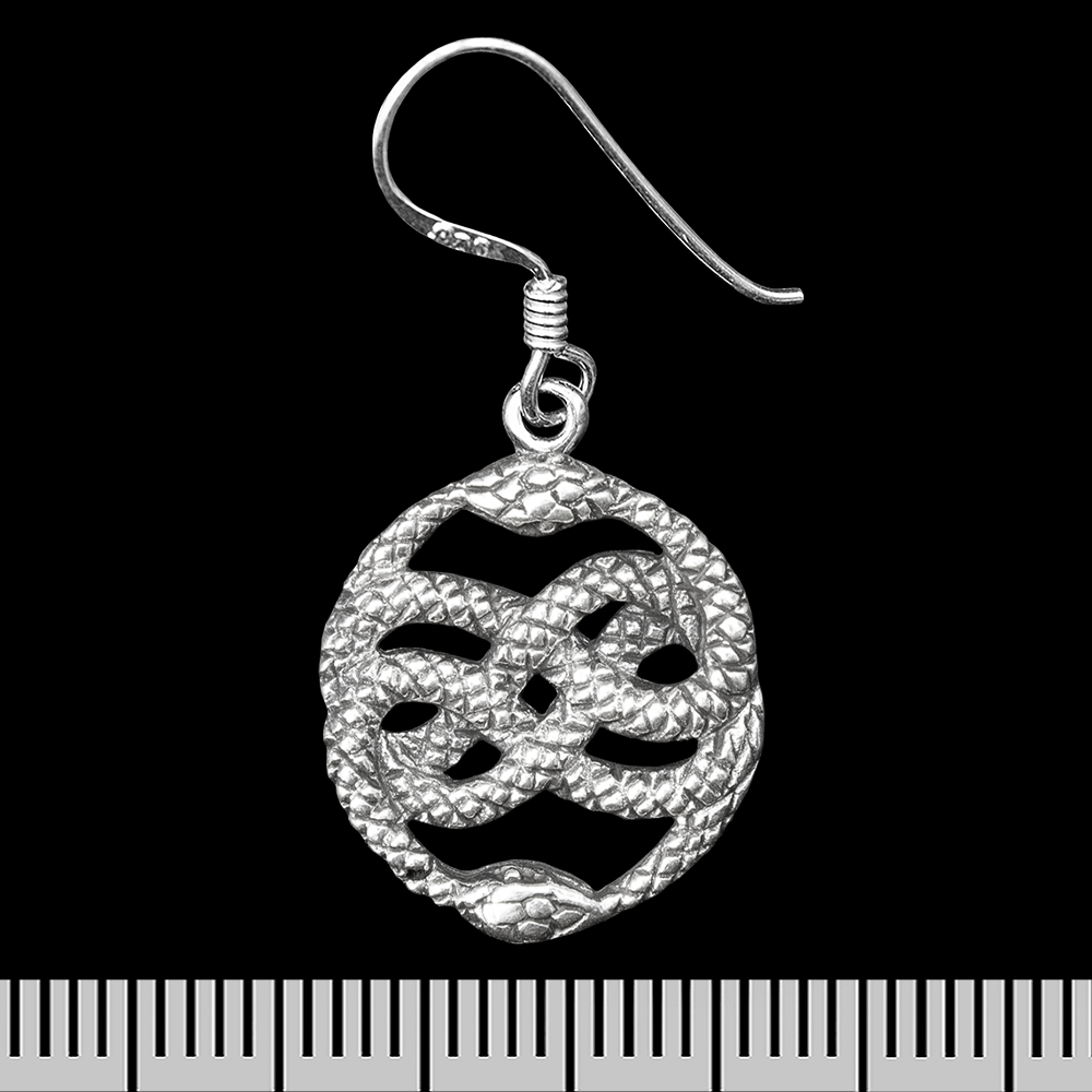 Сережка-гачок Уроборос (срібло, 925 проба) (ehs-042)