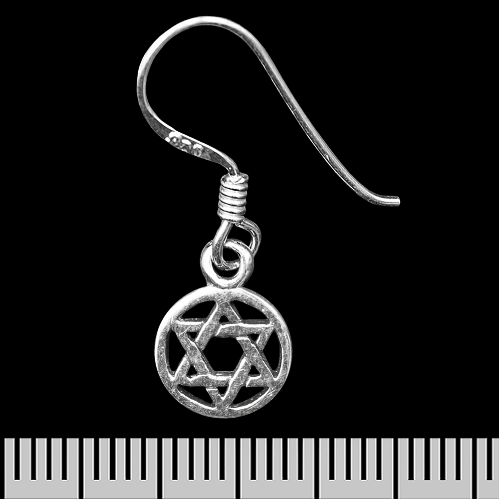 Сережка-гачок Зірка Давида (срібло, 925 проба) (ehs-050)
