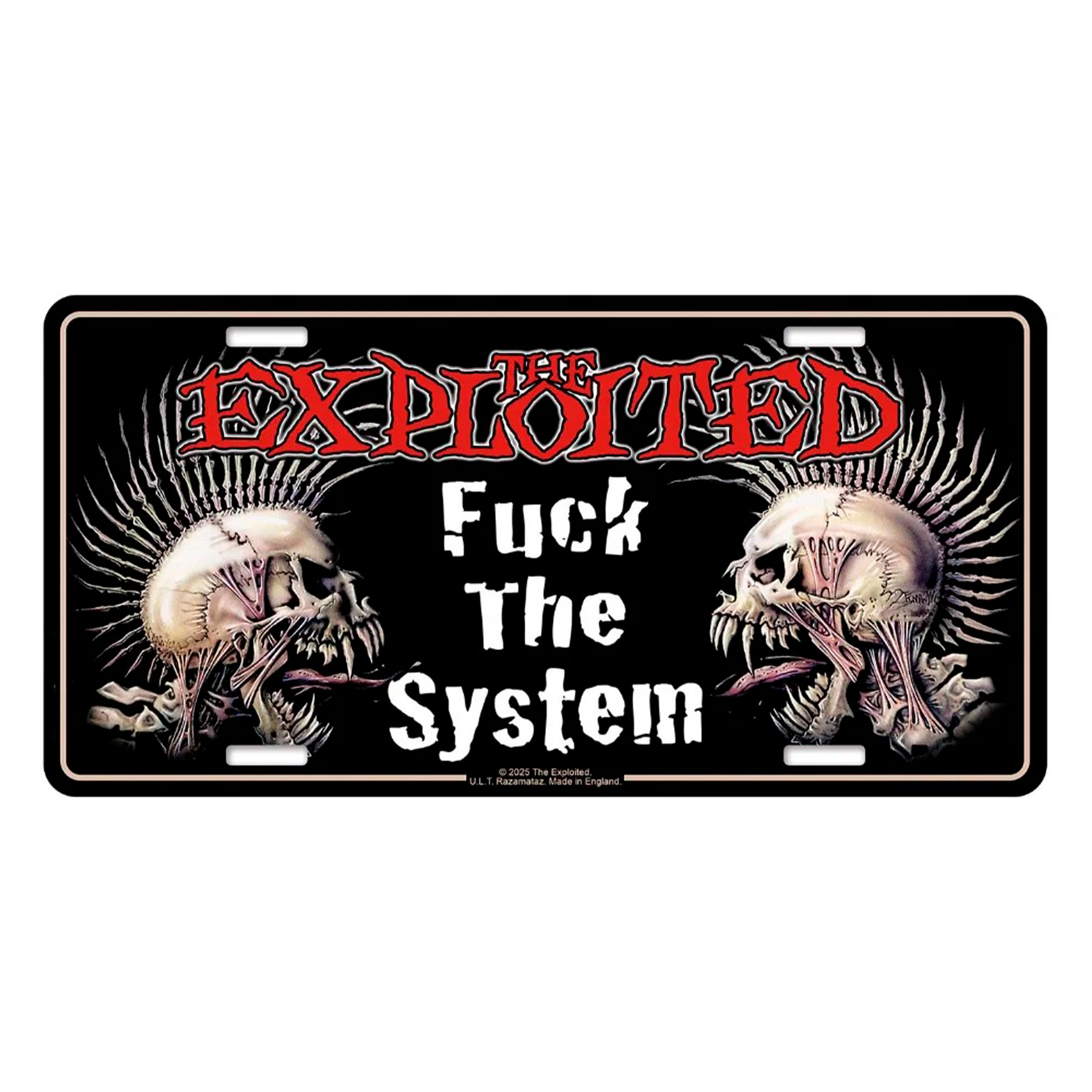 Подарункова табличка THE EXPLOITED - FUCK THE SYSTEM (npol-012)