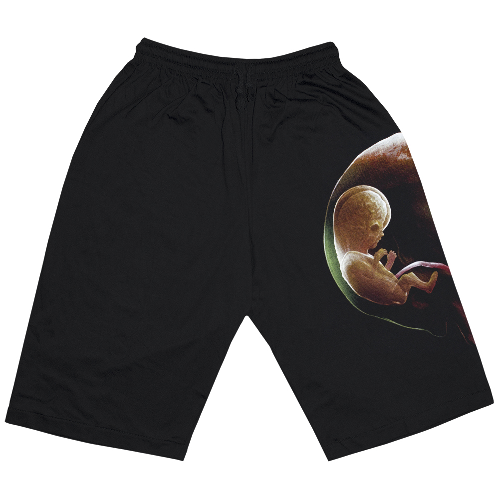 Шорти Tool "Fetus in Skull" Шорти Tool "Fetus in Skull"