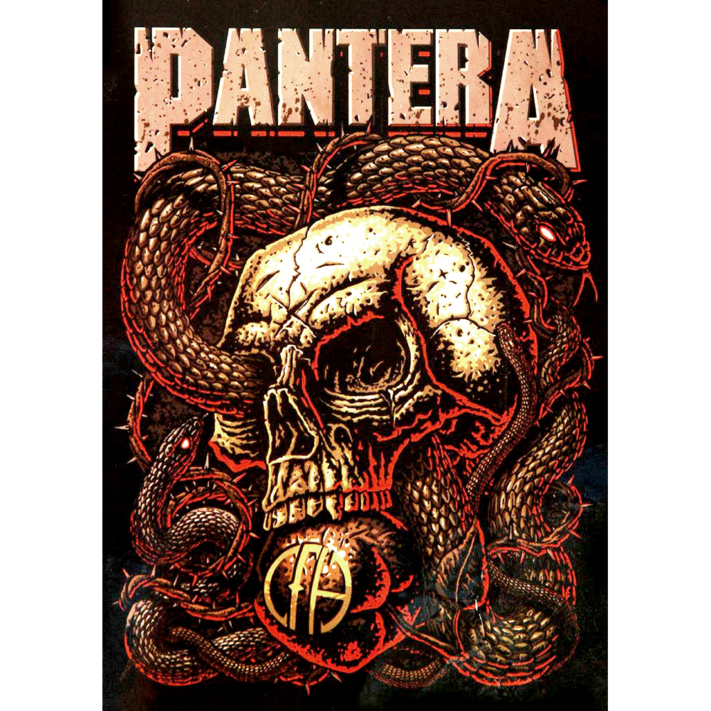 Плакат Pantera (Skull CFH) Плакат Pantera (Skull CFH)