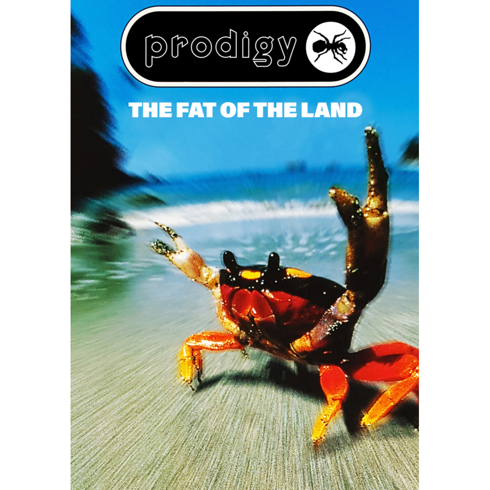 Плакат The Prodigy (The Fat Of The Land)