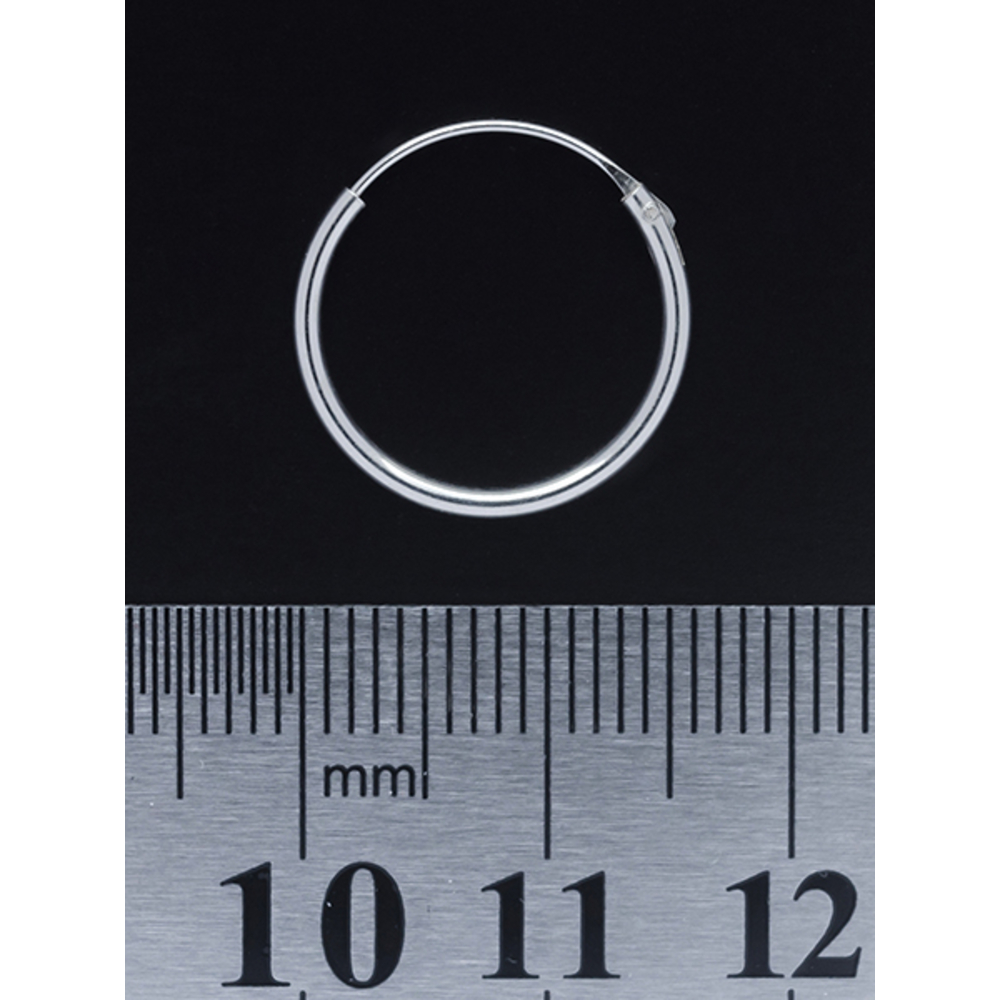 Серьга, кольцо (eas-004)