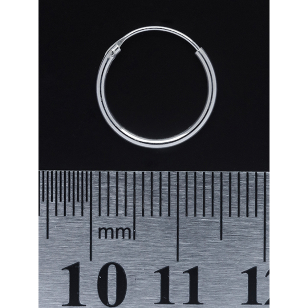 Серьга, кольцо (eas-003)