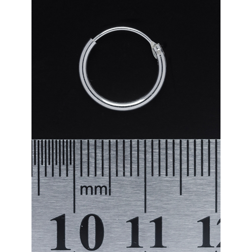 Серьга, кольцо (eas-002)