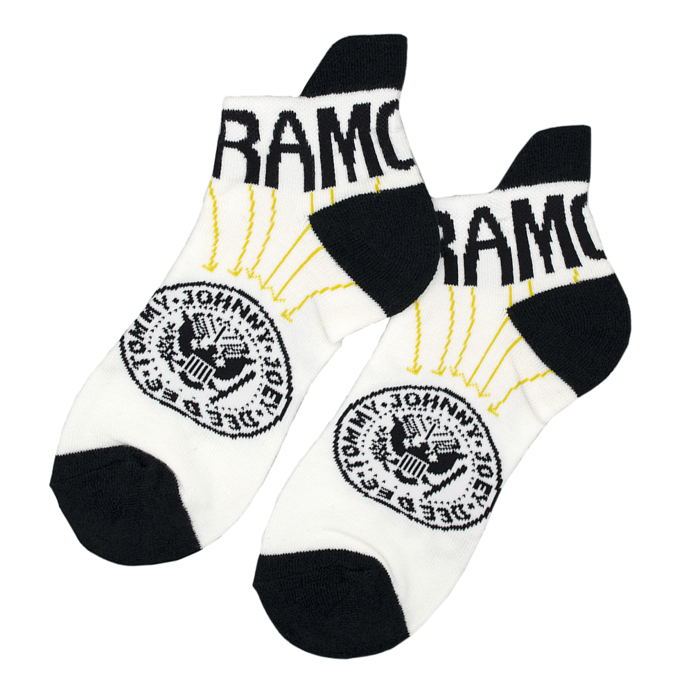 Шкарпетки Ramones logo (білі з чорним) р.36-45 (th)